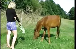 XXX A, phim xet nhat ban moi con chó phong cách tự nhiên tại nhà ở hành lang