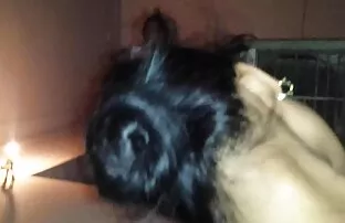 XXX Cô gái khỏa thân ngồi trên mông của cô trên ban công ở phía phim sex nhat ban moi trước của con trai