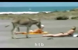 XXX Lười biếng phim xet nhat ban moi nhat Larry thấy mẹ kế của tôi trong Rooster