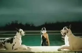 XXX Mẹ kiếp, con trai của một người bạn ở phía phim xes nhat ban moi nhat trước một camera ẩn