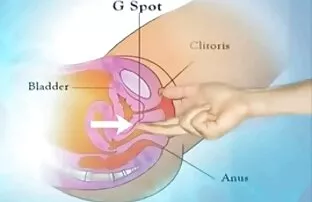 XXX Mẹ, bằng một người bạn của cổ sex nhật moi họng.